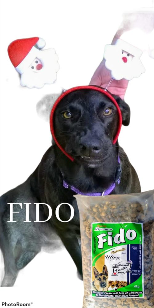 fido ultra dog food